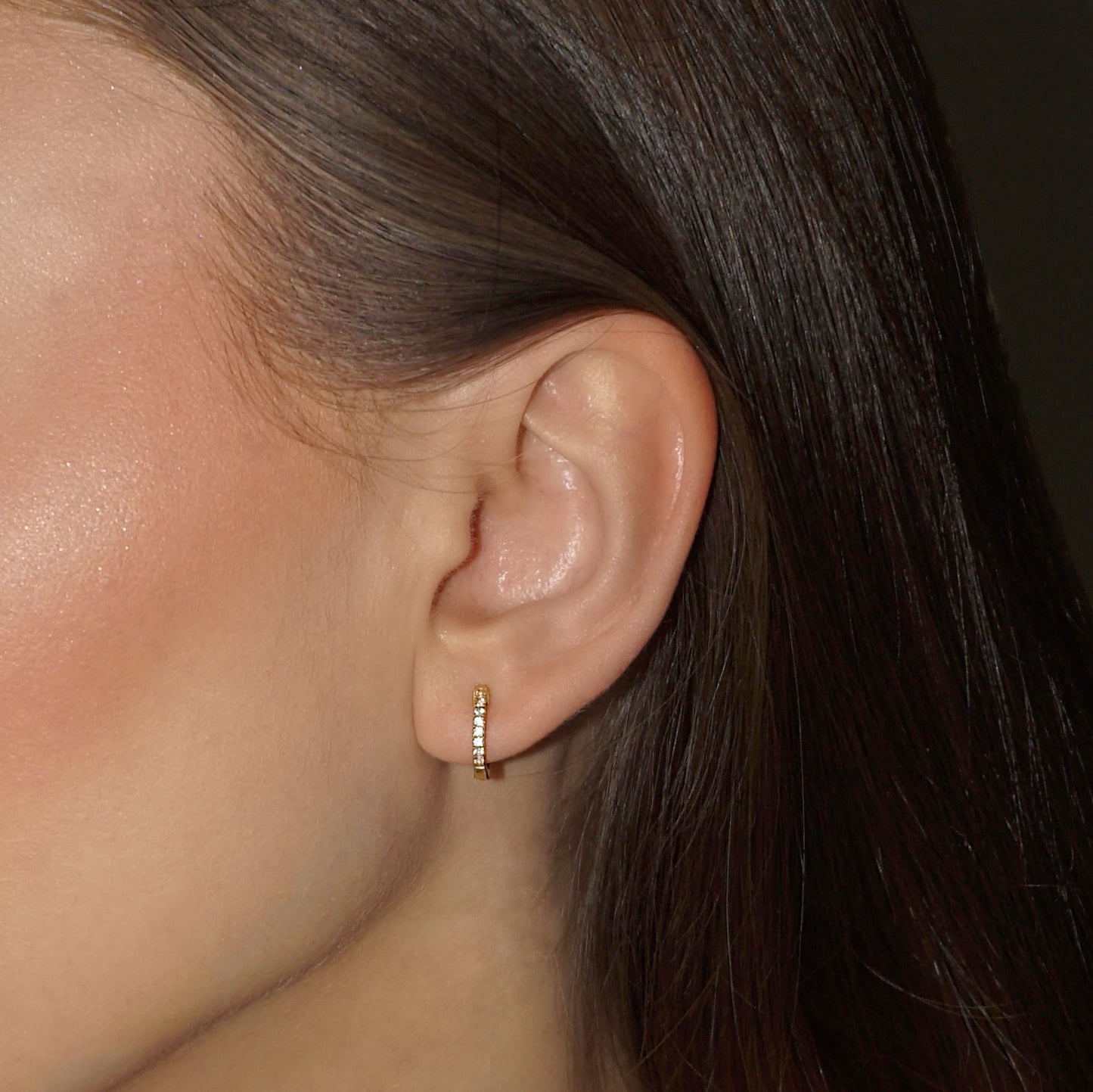 Tennis Crystal Paved Hoop Earrings