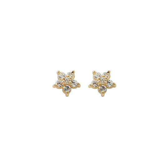 Flower Single Motive 5 Leaf Stud Earrings